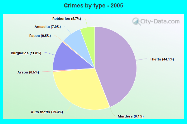 Crimes by type - 2005