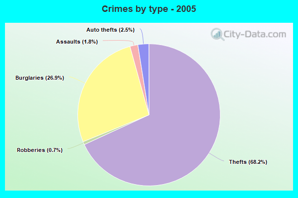 Crimes by type - 2005