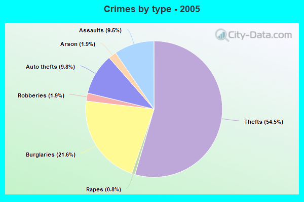 Crimes by type - 2005