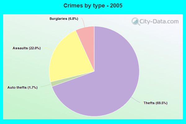 Crimes by type - 2005