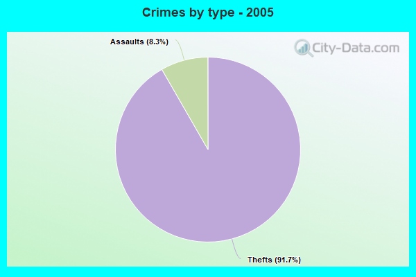 Crimes by type - 2005