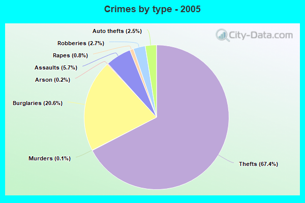 Crimes by type - 2005