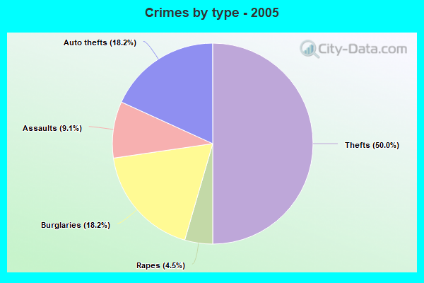 Crimes by type - 2005