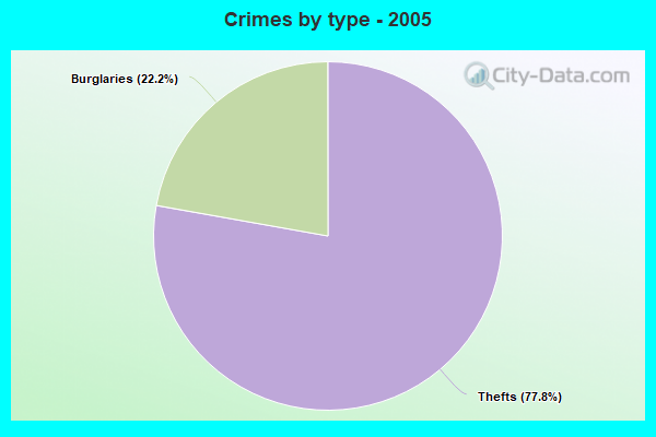 Crimes by type - 2005