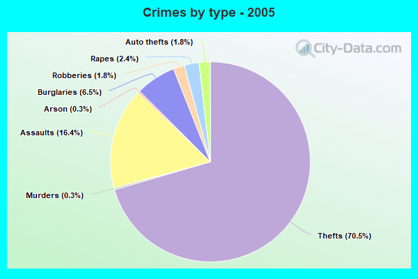 Crimes by type - 2005