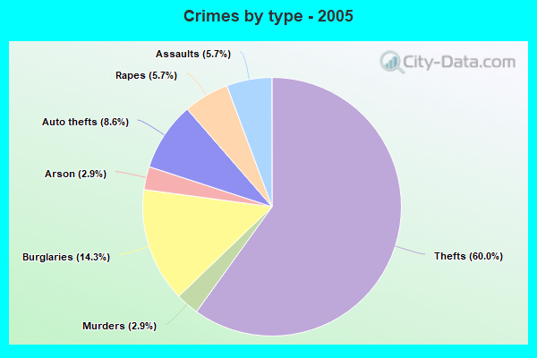 Crimes by type - 2005