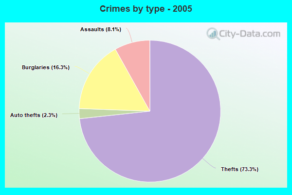 Crimes by type - 2005