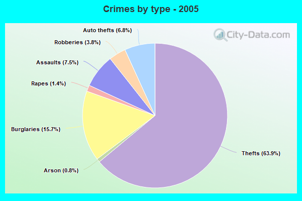 Crimes by type - 2005