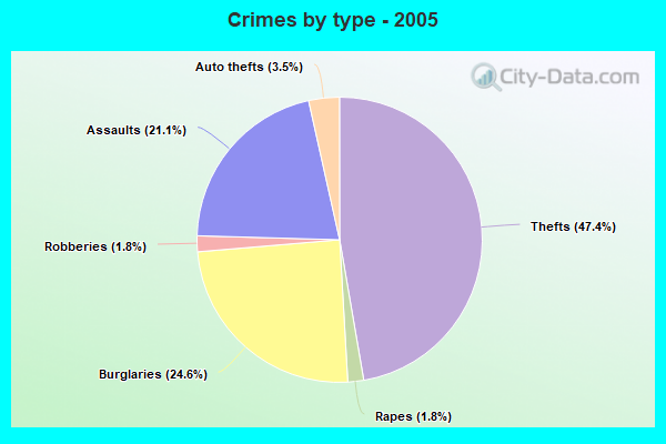 Crimes by type - 2005