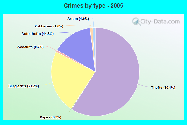 Crimes by type - 2005