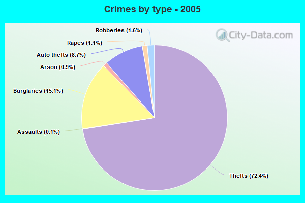 Crimes by type - 2005