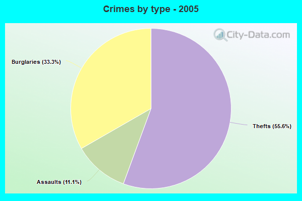 Crimes by type - 2005