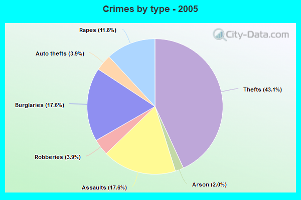 Crimes by type - 2005