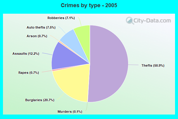 Crimes by type - 2005