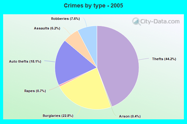 Crimes by type - 2005