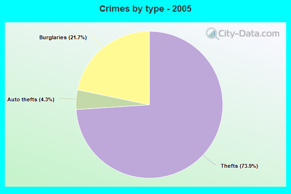 Crimes by type - 2005