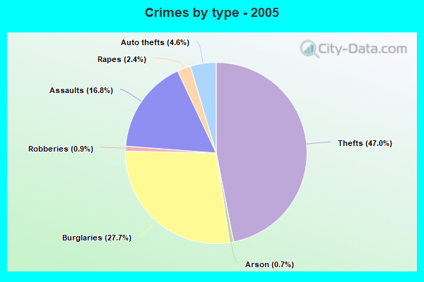 Crimes by type - 2005