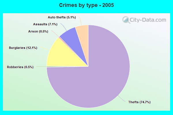 Crimes by type - 2005