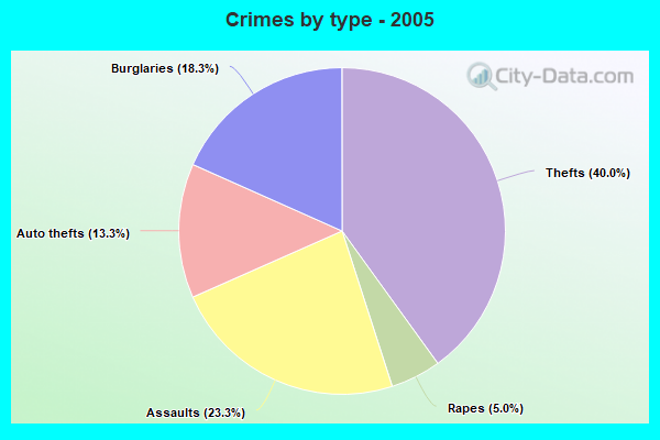 Crimes by type - 2005