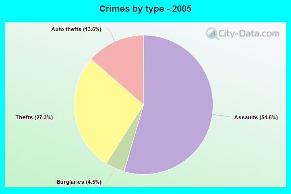 Crimes by type - 2005