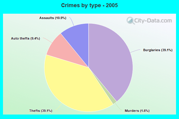 Crimes by type - 2005