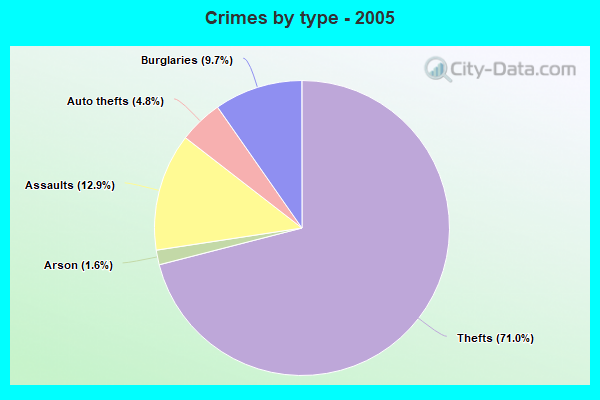 Crimes by type - 2005