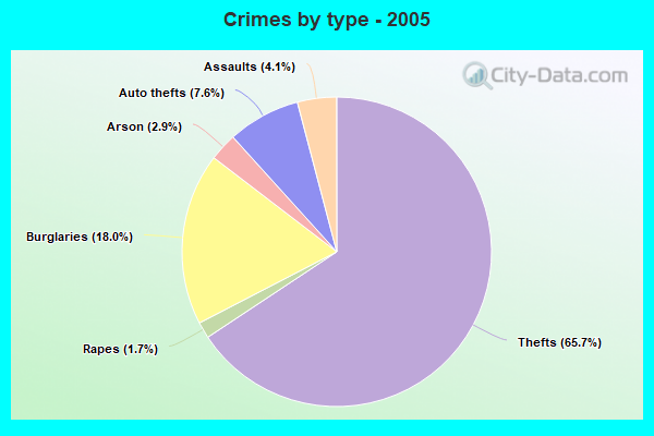 Crimes by type - 2005