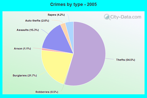 Crimes by type - 2005