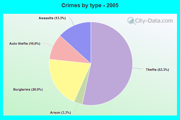 Crimes by type - 2005