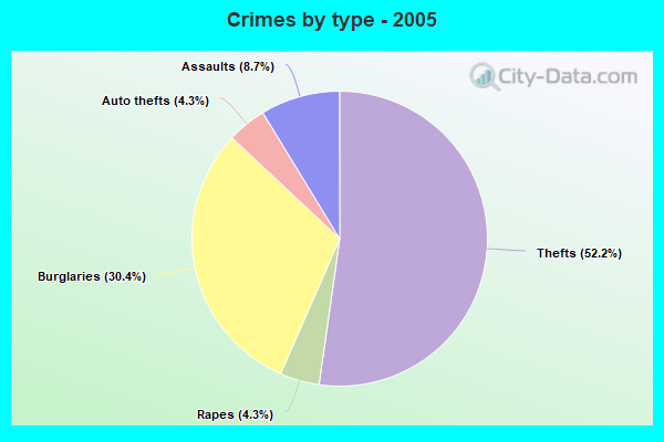 Crimes by type - 2005