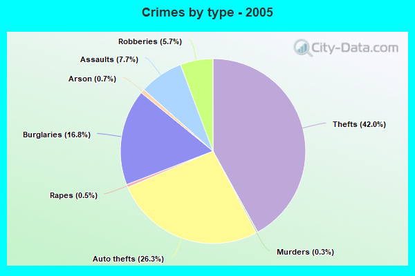 Crimes by type - 2005