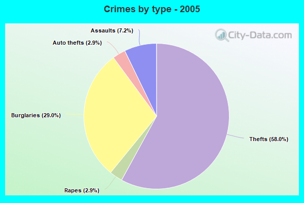 Crimes by type - 2005