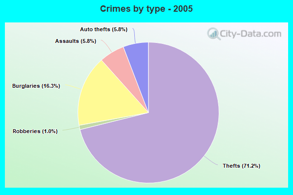 Crimes by type - 2005