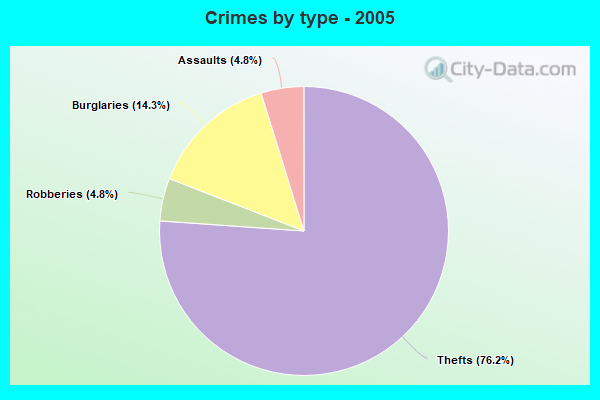 Crimes by type - 2005