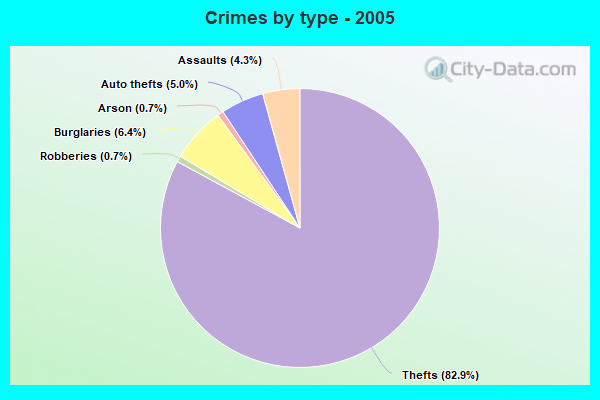 Crimes by type - 2005