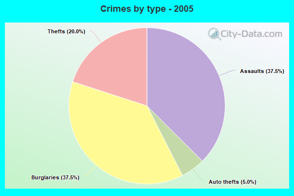 Crimes by type - 2005