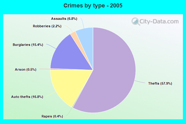 Crimes by type - 2005