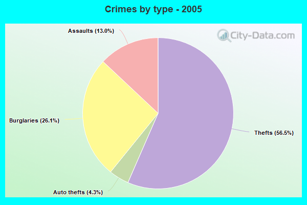 Crimes by type - 2005