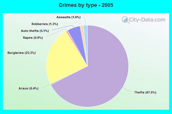 Crimes by type - 2005