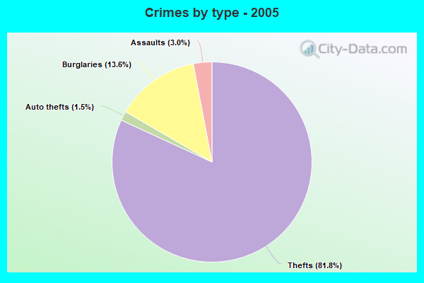 Crimes by type - 2005