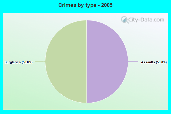 Crimes by type - 2005