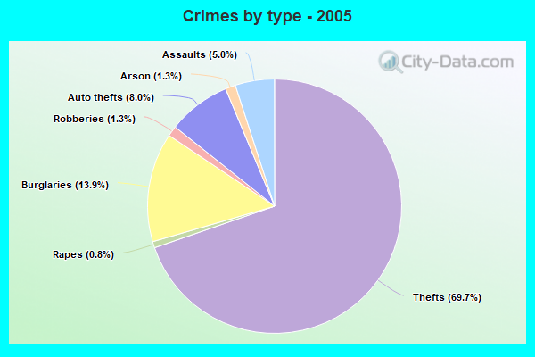 Crimes by type - 2005