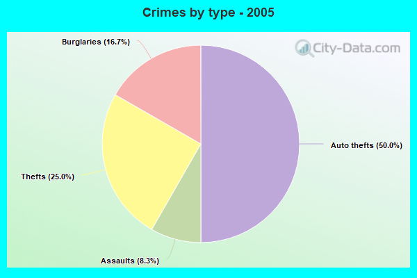 Crimes by type - 2005