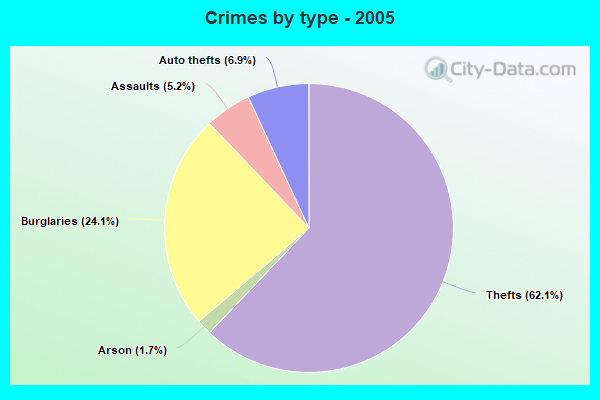 Crimes by type - 2005