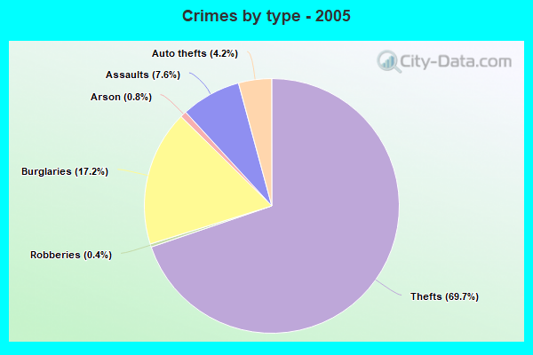 Crimes by type - 2005