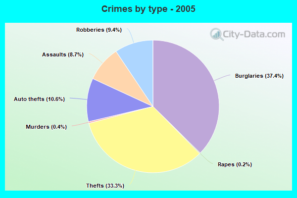 Crimes by type - 2005