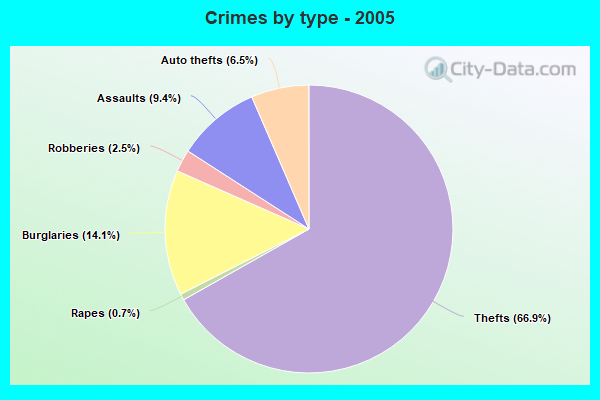 Crimes by type - 2005