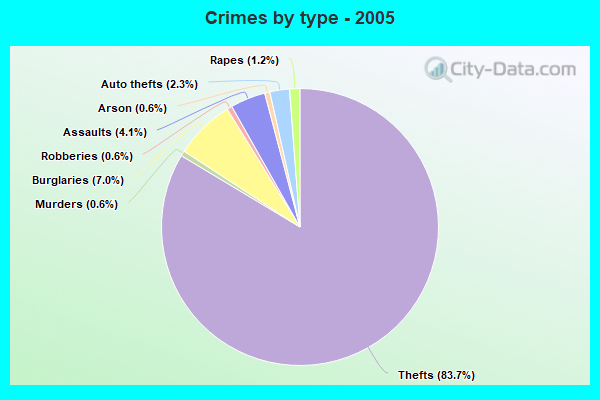 Crimes by type - 2005