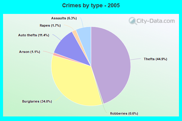 Crimes by type - 2005