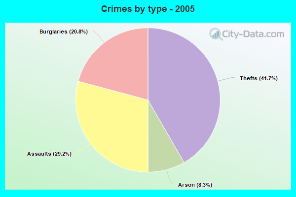 Crimes by type - 2005